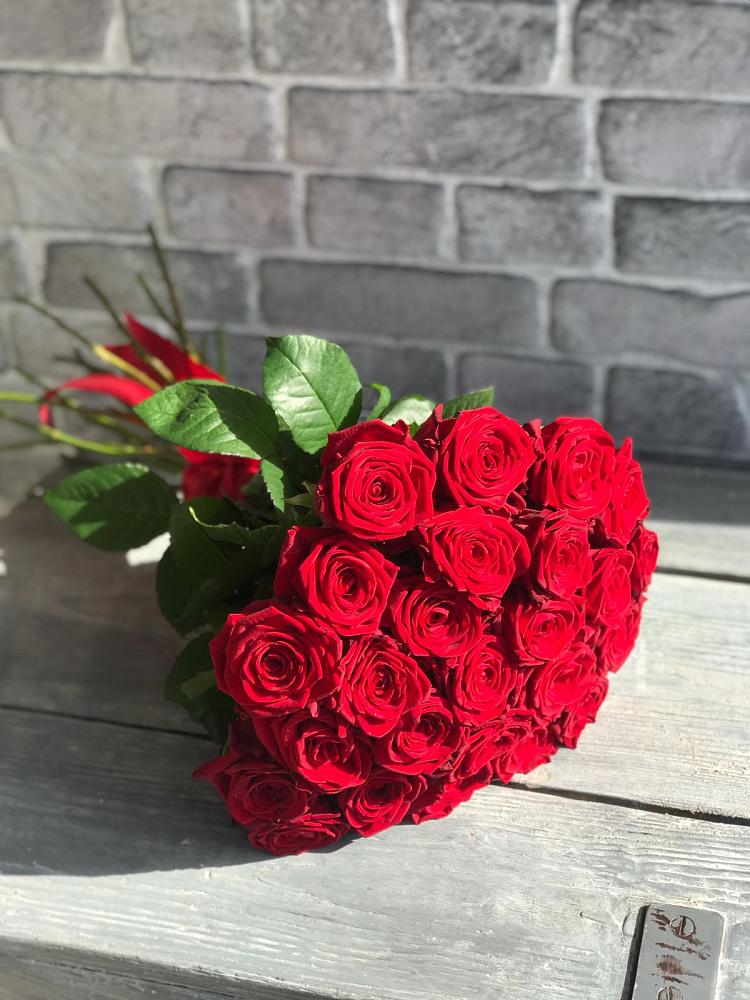 Букет Красные розы Фридом в Подгорной Краснодарского края