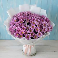 Букет цветов из:  Хризантемы в Подгорной Краснодарского края