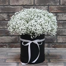 Цветочная композиция из Гипсофила в шляпной коробке в Подгорной Краснодарского края