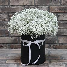 Цветочная композиция из Гипсофила в шляпной коробке в Подгорной Краснодарского края